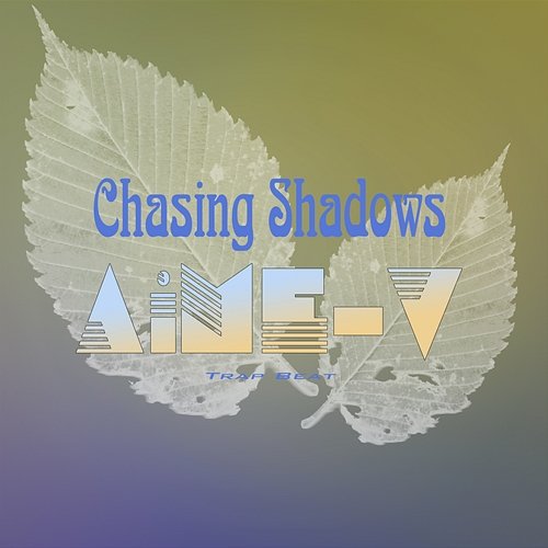 Chasing Shadows AiME-V