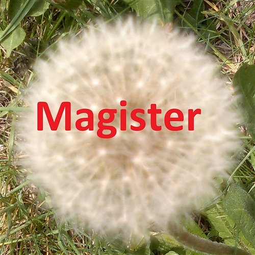Chcę Być Powietrzem Magister