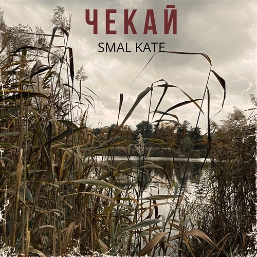 ЧЕКАЙ SMAL KATE