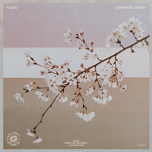 Cherry Blossom Fugee & Disruptive LoFi