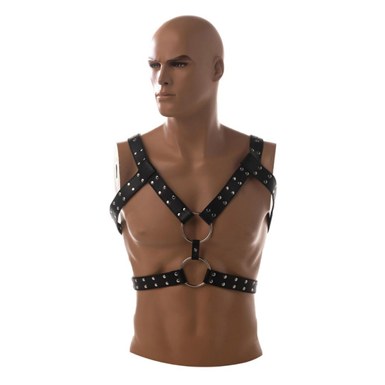 Chest harness Admiranda