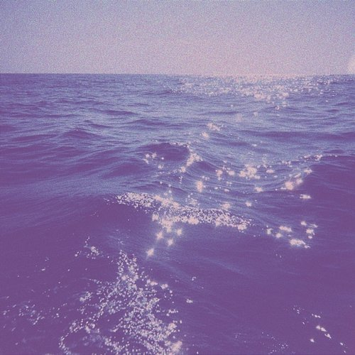 Chihiro Léa Vlaeminck, Lavender Shore, Lazy Daze