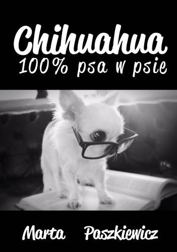 Chihuahua 100% psa w psie Paszkiewicz Marta