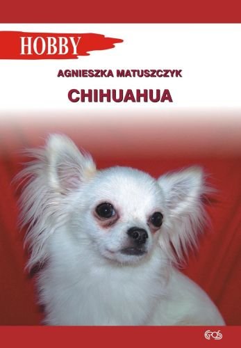 Chihuahua Matuszczyk Agnieszka