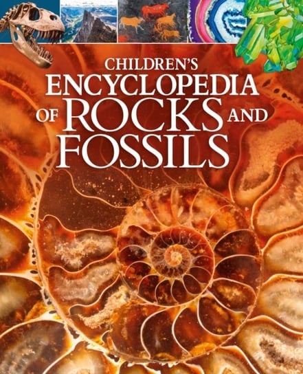 Childrens Encyclopedia of Rocks and Fossils Martin Claudia