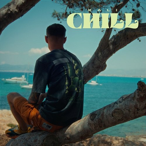 Chill Leśny, Kali, ADZ