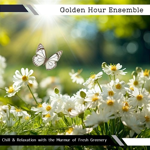 Chill & Relaxation with the Murmur of Fresh Greenery Golden Hour Ensemble