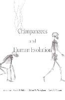 Chimpanzees and Human Evolution Muller Martin N.