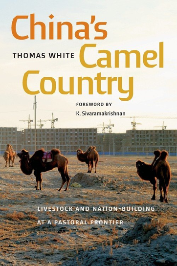 China's Camel Country White Thomas