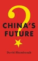 China's Future Shambaugh David