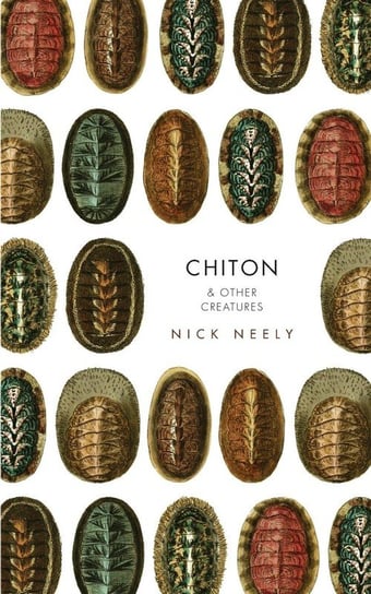 Chiton & Other Creatures Neely Nicholas