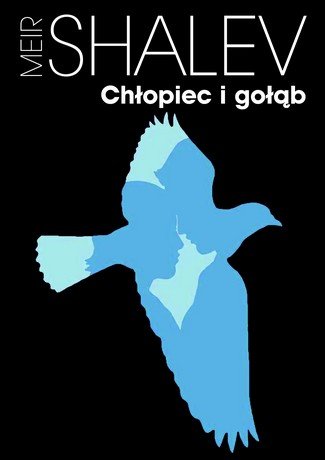 Chłopiec i gołąb Shalev Meir