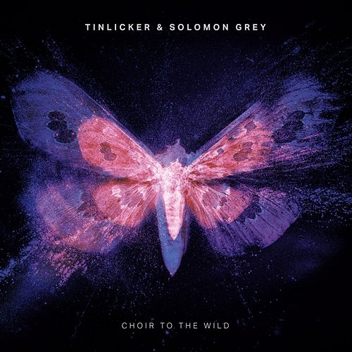 Choir To The Wild Tinlicker, Solomon Grey