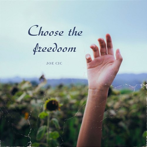 Choose the Freedom Joe Cic