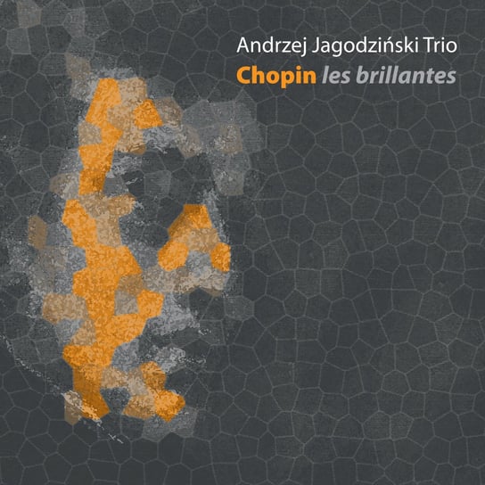 Chopin: Les Brillantes Andrzej Jagodziński Trio