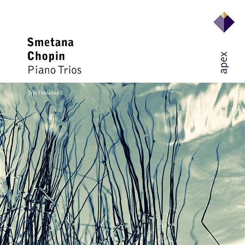 Chopin & Smetana : Piano Trios Trio Fontenay