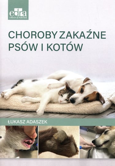 Choroby zakaźne psów i kotów Adaszek Łukasz