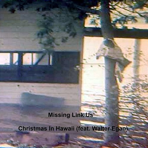 Christmas in Hawaii Missing Link Us feat. Walter Egan