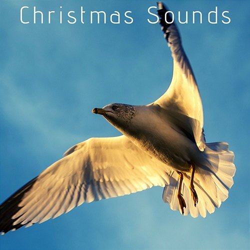 Christmas Sounds Various Artists