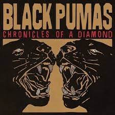 Chronicles of a Diamond, płyta winylowa Black Pumas