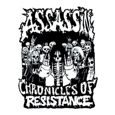 Chronicles Of Resistance Assassin