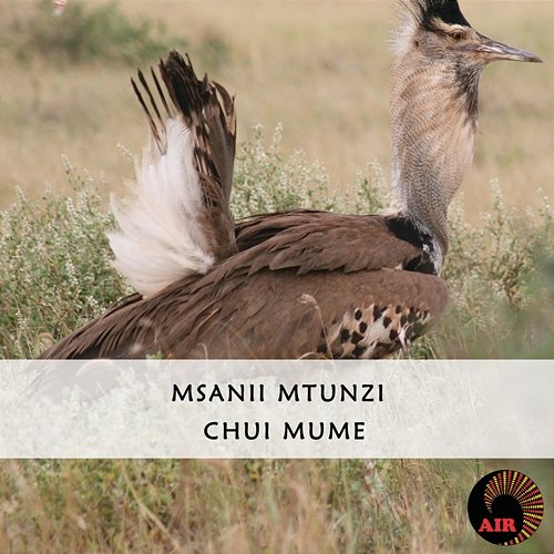 Chui Mume Msanii Mtunzi