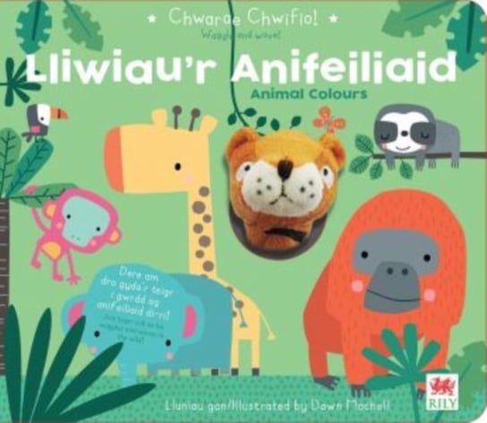 Chwarae Chwifio: Lliwiau'r Anifeiliaid / Animal Colours Opracowanie zbiorowe