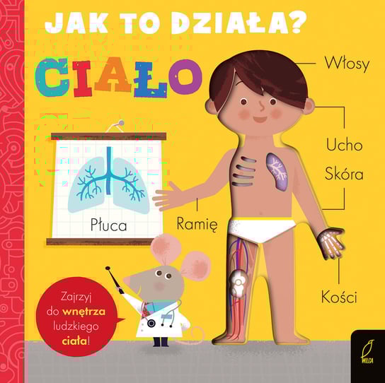Ciało. Jak to działa? Hepworth Amelia