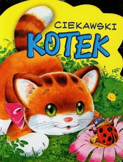 Ciekawski kotek Kozłowska Urszula