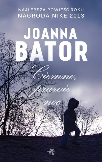 Ciemno, prawie noc Bator Joanna