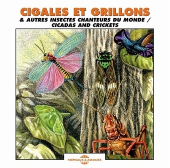 Cigales Et Grillons Various Artists