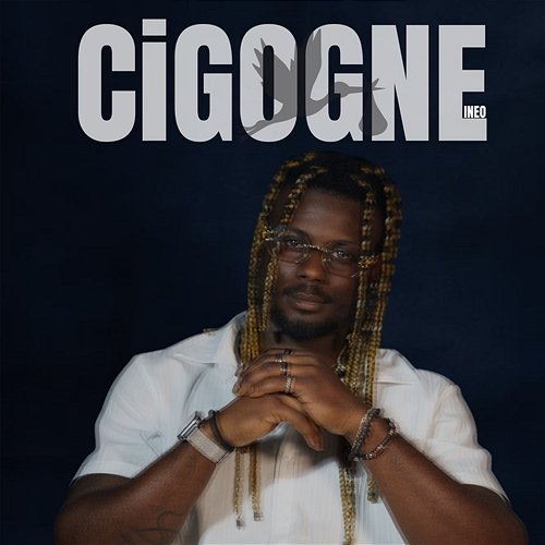 Cigogne Ineo