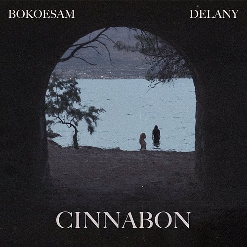 Cinnabon Bokoesam, Delany