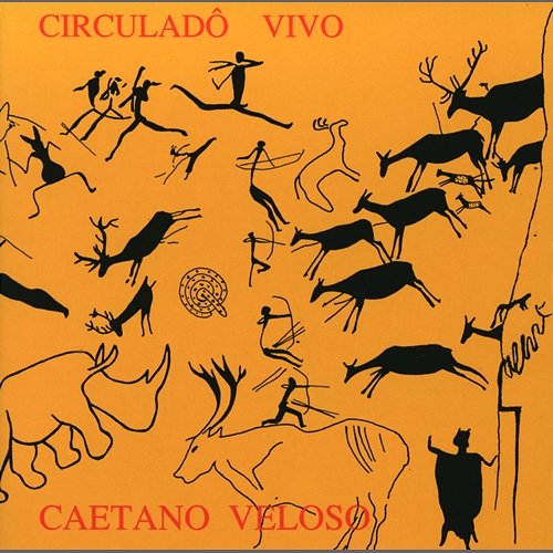 Debaixo Dos Caracóis Dos Seus Cabelos Caetano Veloso