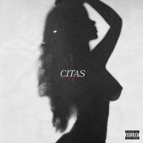 CITAS Vic Daggs II