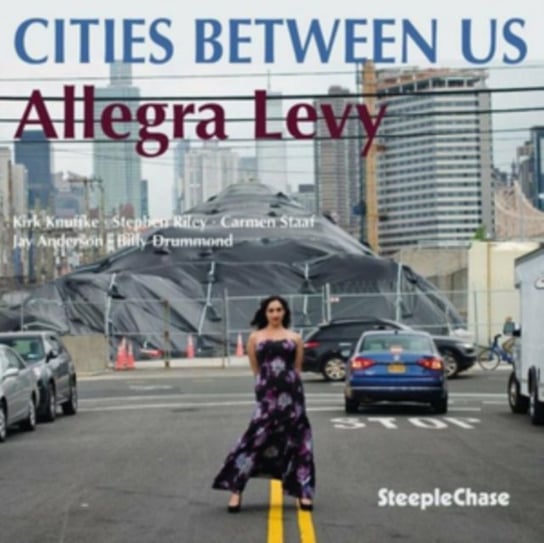 Cities Between Us Allegra Levy