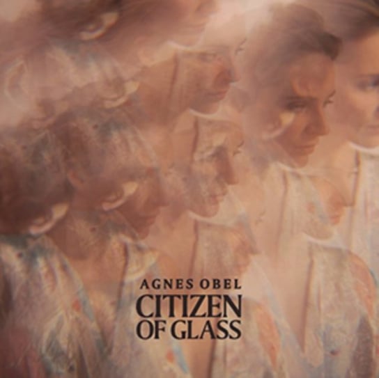 Citizen Of Glass Obel Agnes