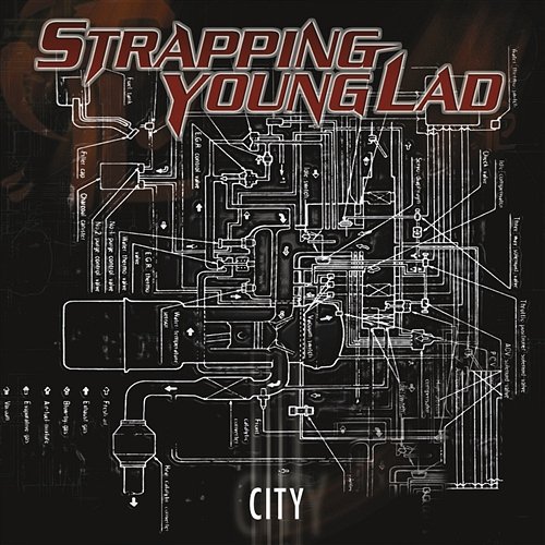 Home Nucleonics Strapping Young Lad