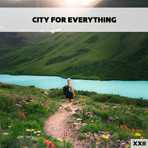City For Everything XXII Various Artists