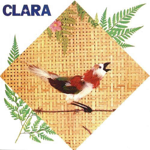 Clara Clara Nunes