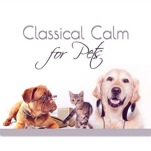 Classical Calm for Pets – Therapy Dogs with Classical Music, Relaxation for Your Animal Companion Bielsko Baroque Chamber Academy
