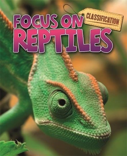 Classification: Focus on: Reptiles Stephen Savage