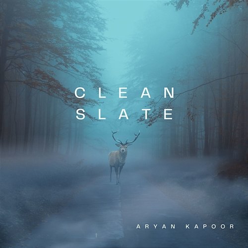 Clean slate Aryan Kapoor