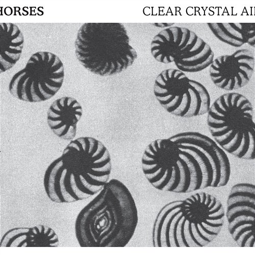 Clear Crystal Air Horses