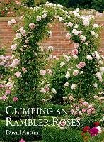 Climbing and Rambler Roses Austin David