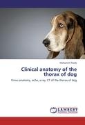 Clinical anatomy of the thorax of dog Alsafy Mohamed