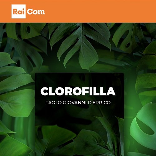 Clorofilla Paolo Giovanni d'Errico