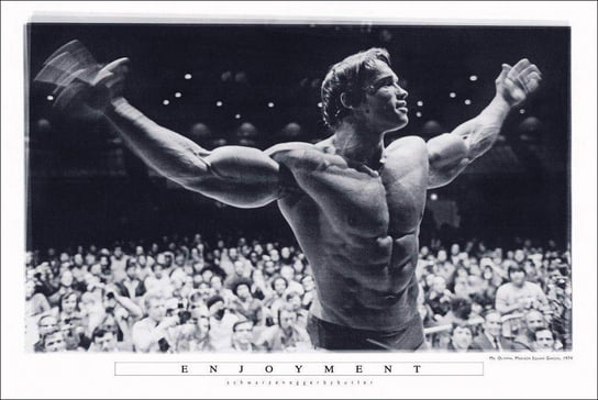 Close, Plakat, CLOSE, Arnold Schwarzenegger Kulturysta, 91,5x61 cm Inna marka