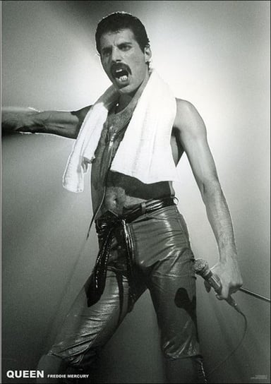 Close, Plakat, Queen Freddie Mercury Koncert, 59,5x84 cm Close
