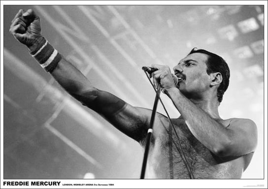 Close, Plakat, Queen Freddie Mercury Wembley 1984, 84x59,5 cm Close